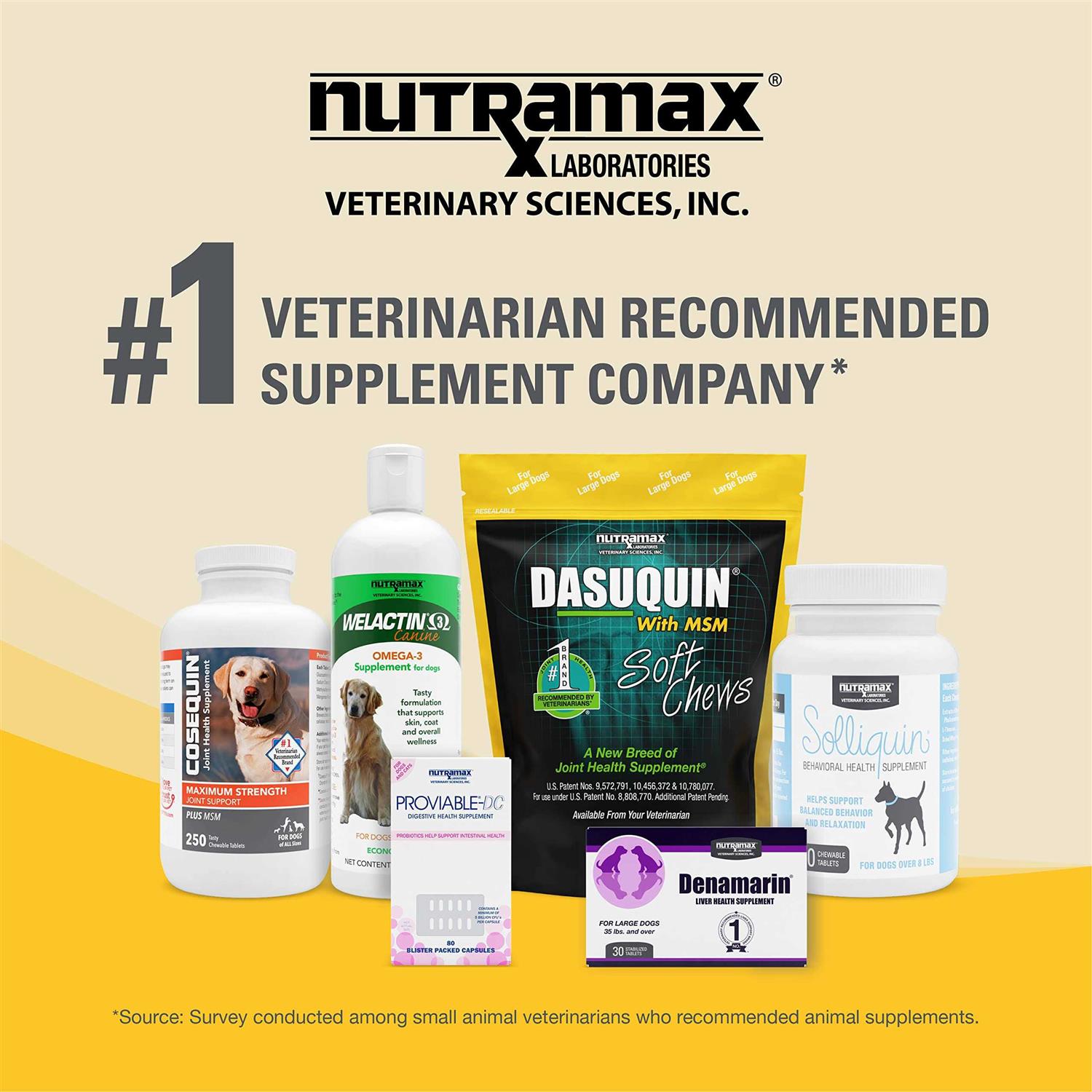 Nutramax Dasuquin with MSM Joint Health Supplement Dogs Soft Chews