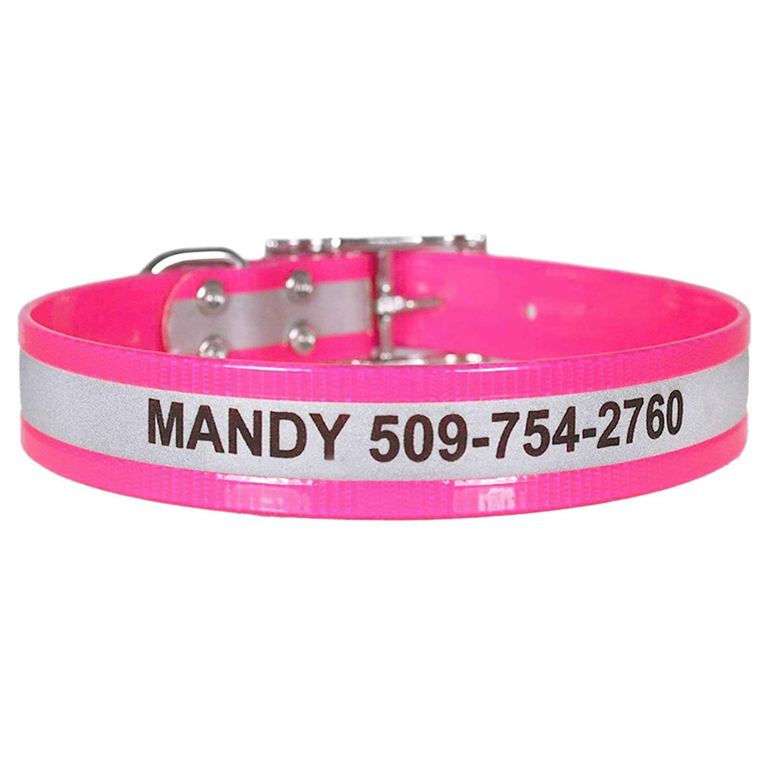 GoTags Adjustable Nameplate Personalized Dog Collar