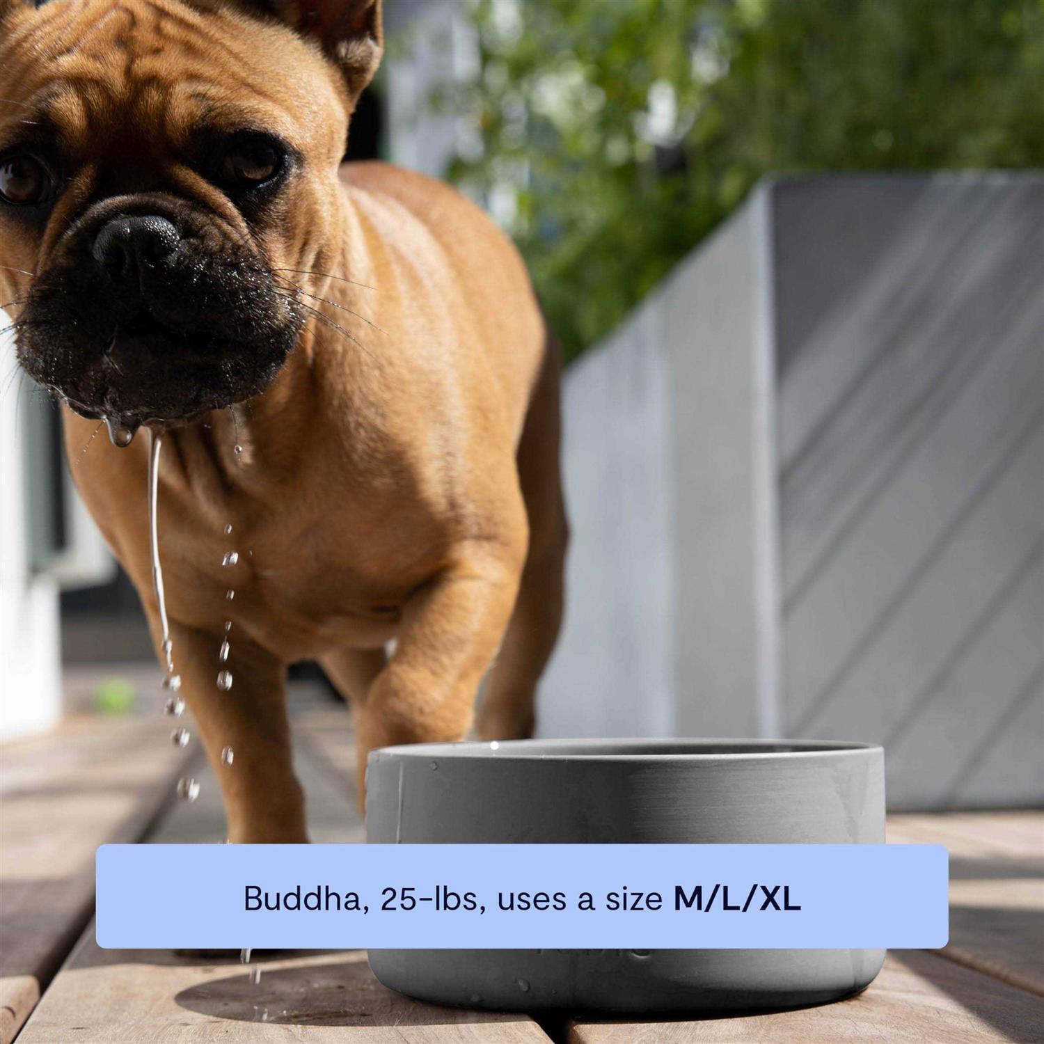 Signature Bowl Fable Pets