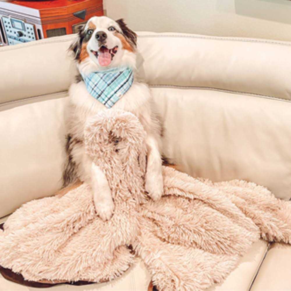 PawProof Throw Blanket