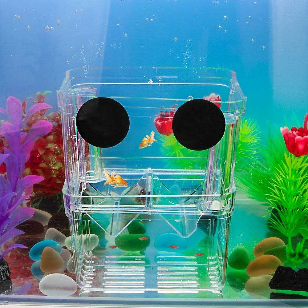 Senzeal Aquarium Fish Breeder Box Plastic Fish Isolation Breeding Box Hatching Incubator Box for Baby Fish Shrimp Clownfish Guppy