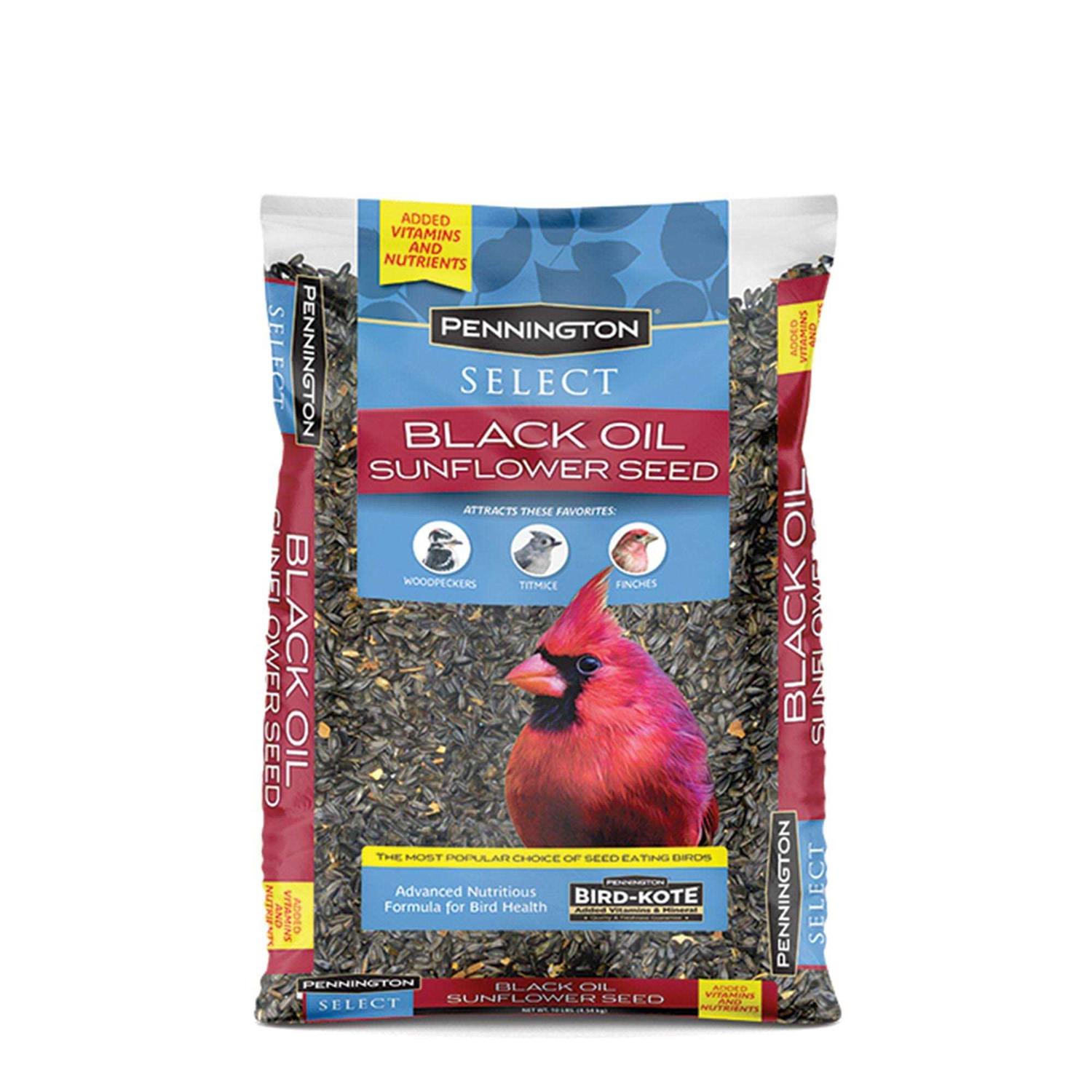 Pennington Select Black Oil Sunflower Seed Wild Bird Feed