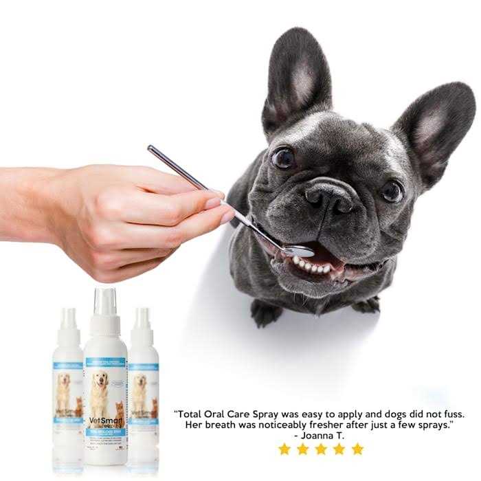 VetSmart Formulas Dog Breath Freshener Eliminate Bad Breath and Prevent Oral Disease in Dogs and Cats