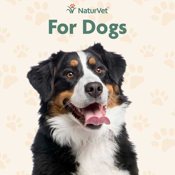 NaturVet Senior Advanced Incontinence Soft Chews