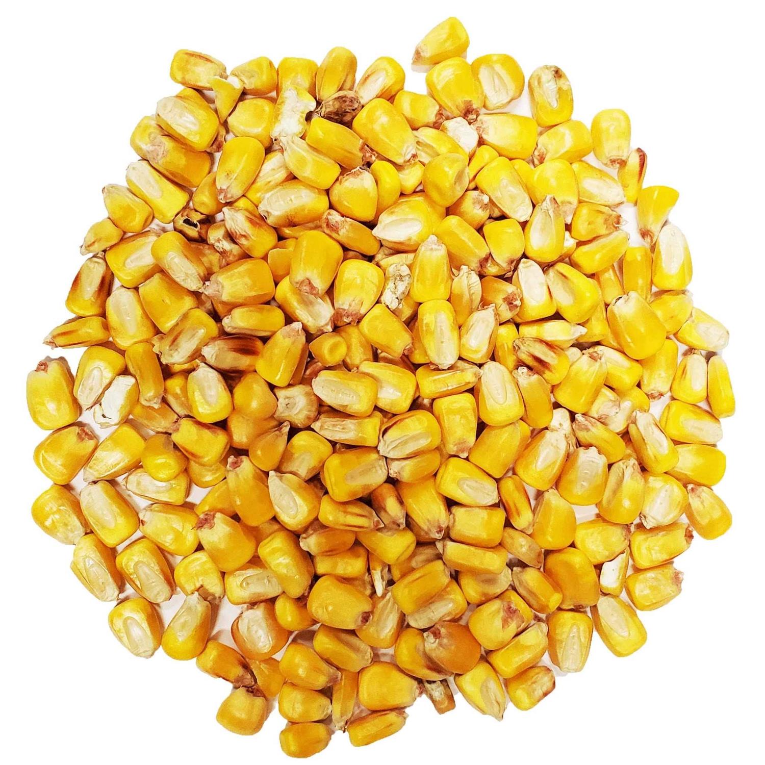CountryMax Bulk Whole Corn for Wildlife Feeding