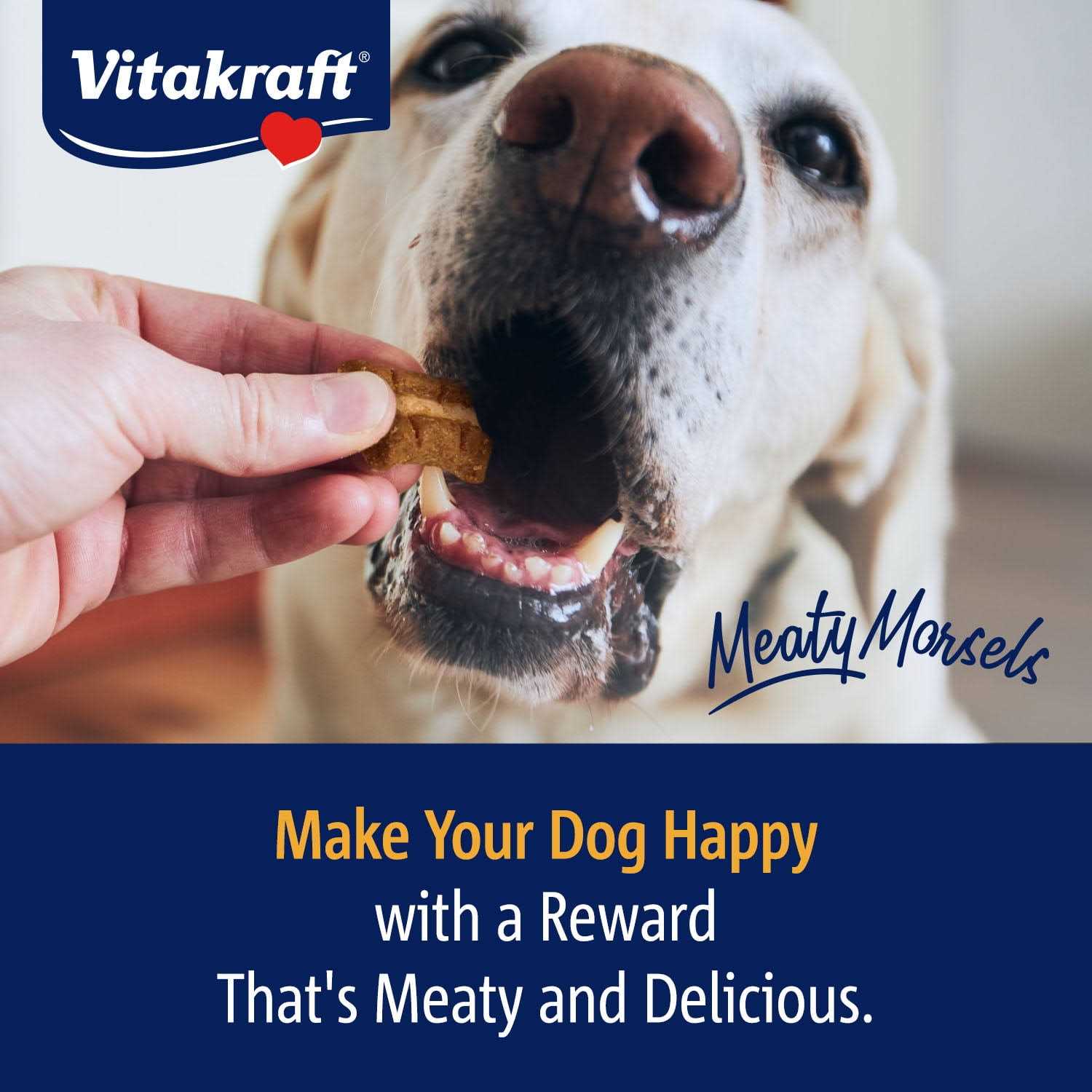 Vitakraft Meaty Morsels Chicken Recipe with Beef & Carrots Dog Treat Mini
