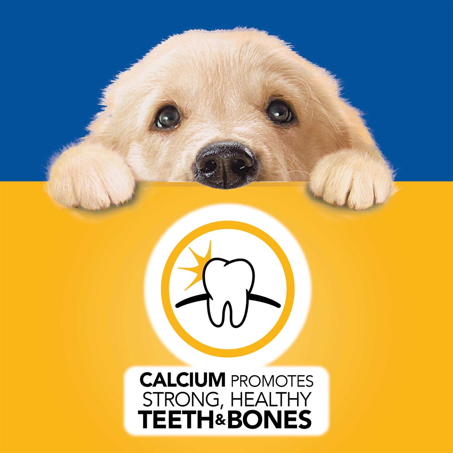 Pedigree Puppy Morsels in Sauce Chicken Wet Dog Food