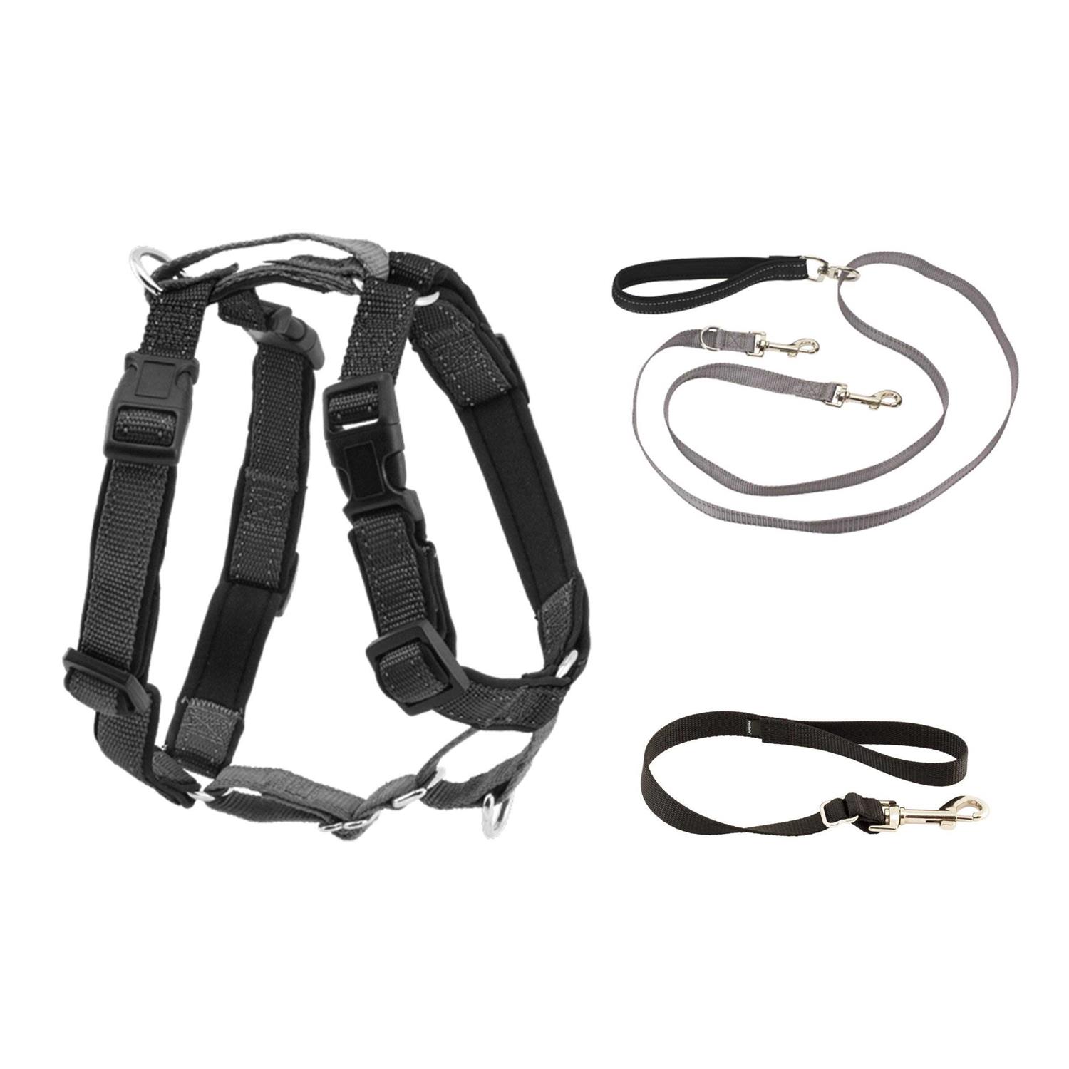 PetSafe 3 in 1 Harness with Two Point Control Leash