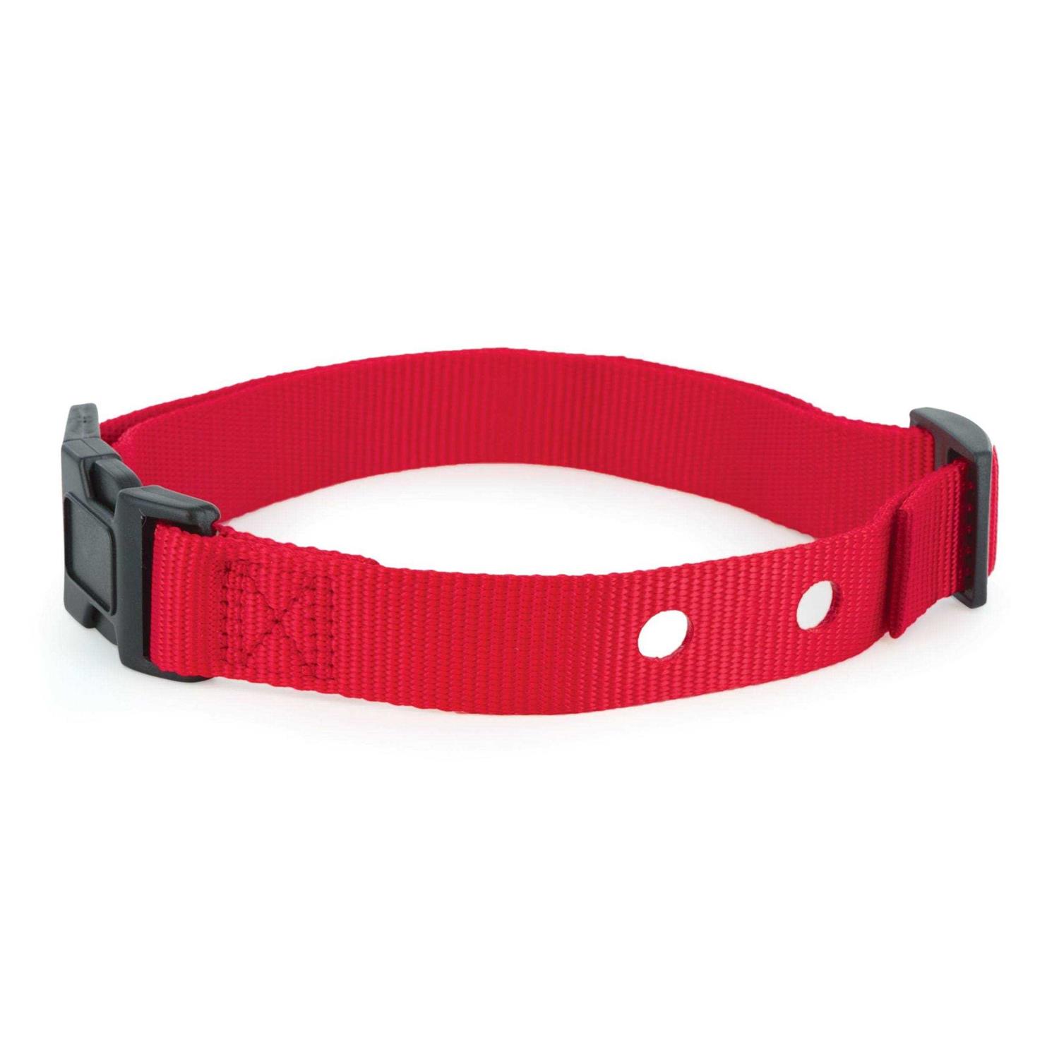 PetSafe 1 Inch Replacement Collar Strap with 2 holes