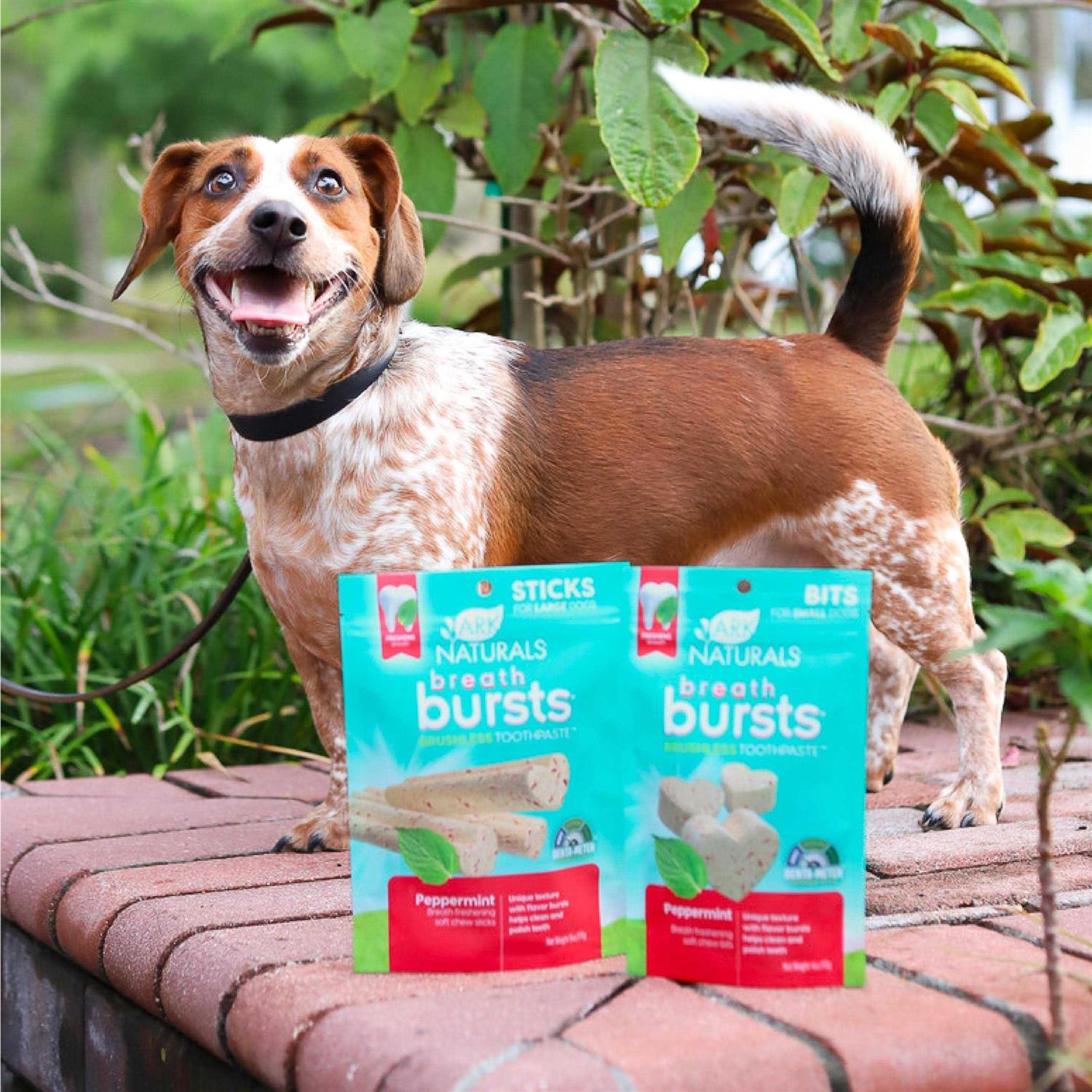 Ark Naturals Breath Bursts Bits Dental Dog Treats