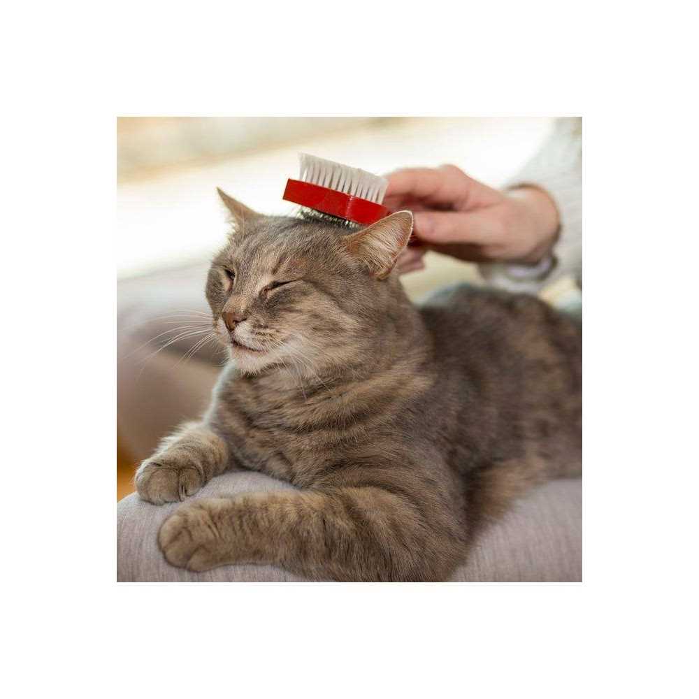 Vet’s Best Cat Waterless Bath