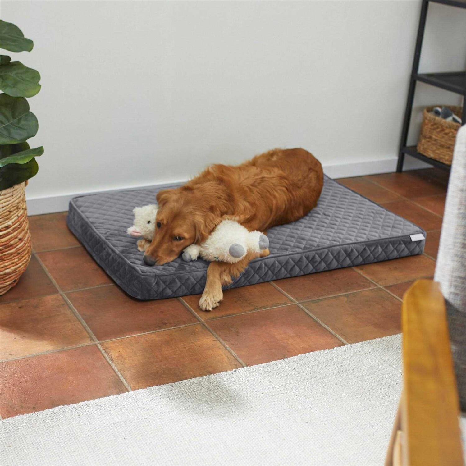 Frisco Quilted Orthopedic Pillow Cat Dog Bed w/Removable COVER