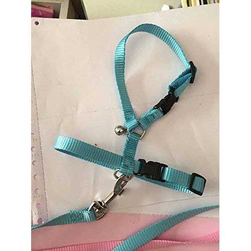 hokmly Adjustable Small Pet Hedgehog Harness for Training Playing Traction Rope