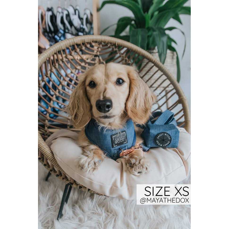 Adjustable Harness Sassy Woof