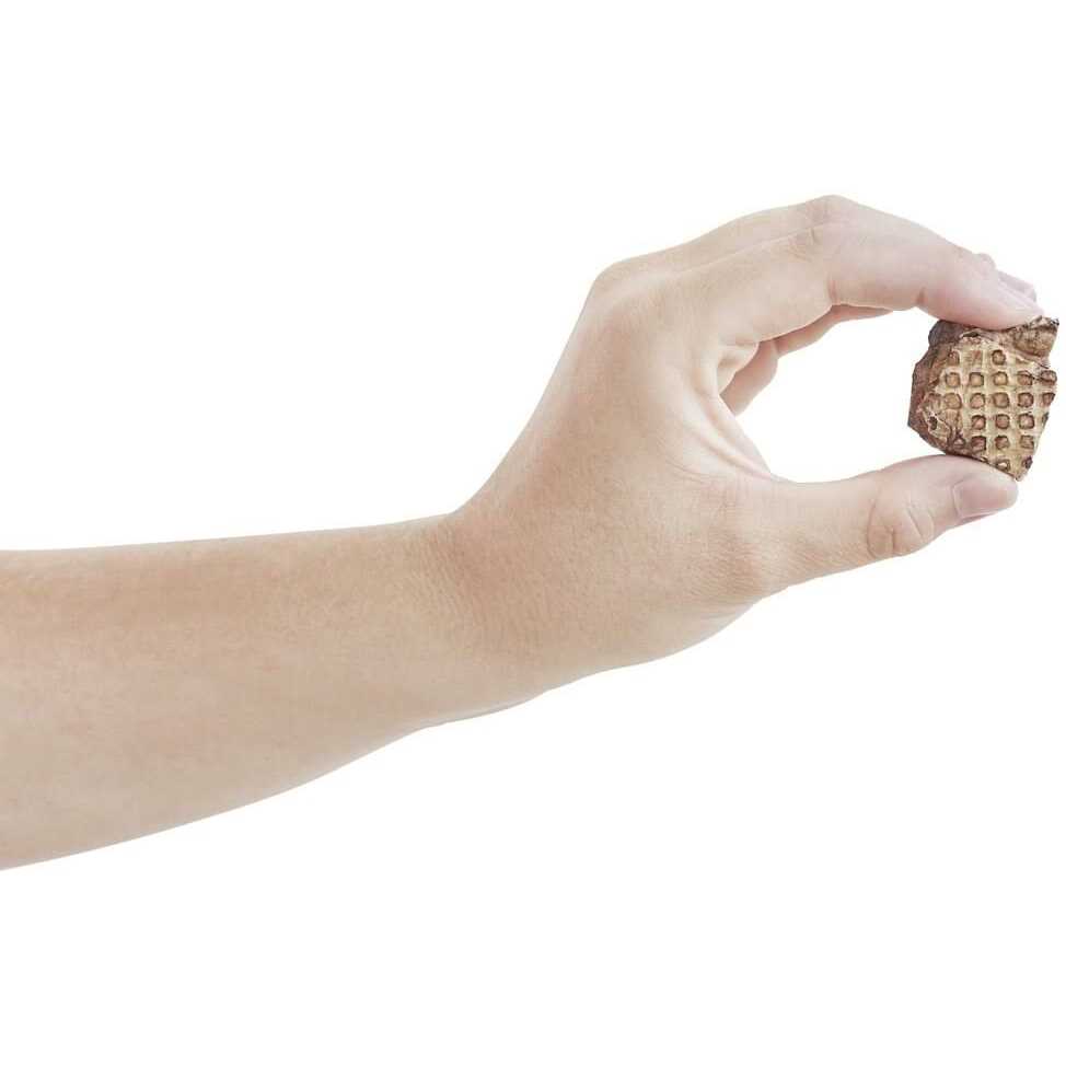 Bones & Chews All-Natural Beef Lung Filets Dehydrated Dog Treats