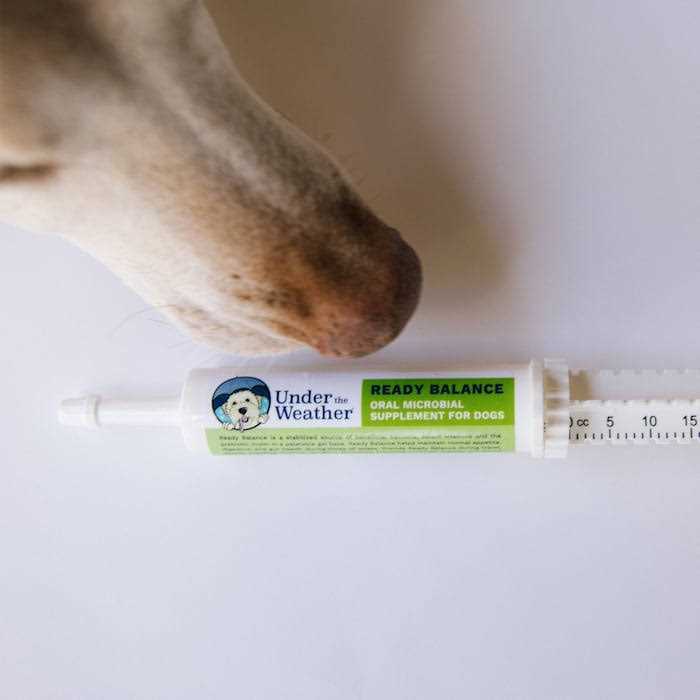 Under the Weather Ready Balance for Dogs