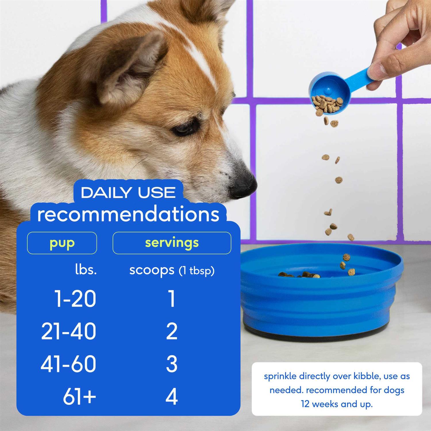 Native Pet GlandAid Anal Gland Supplement for Dogs