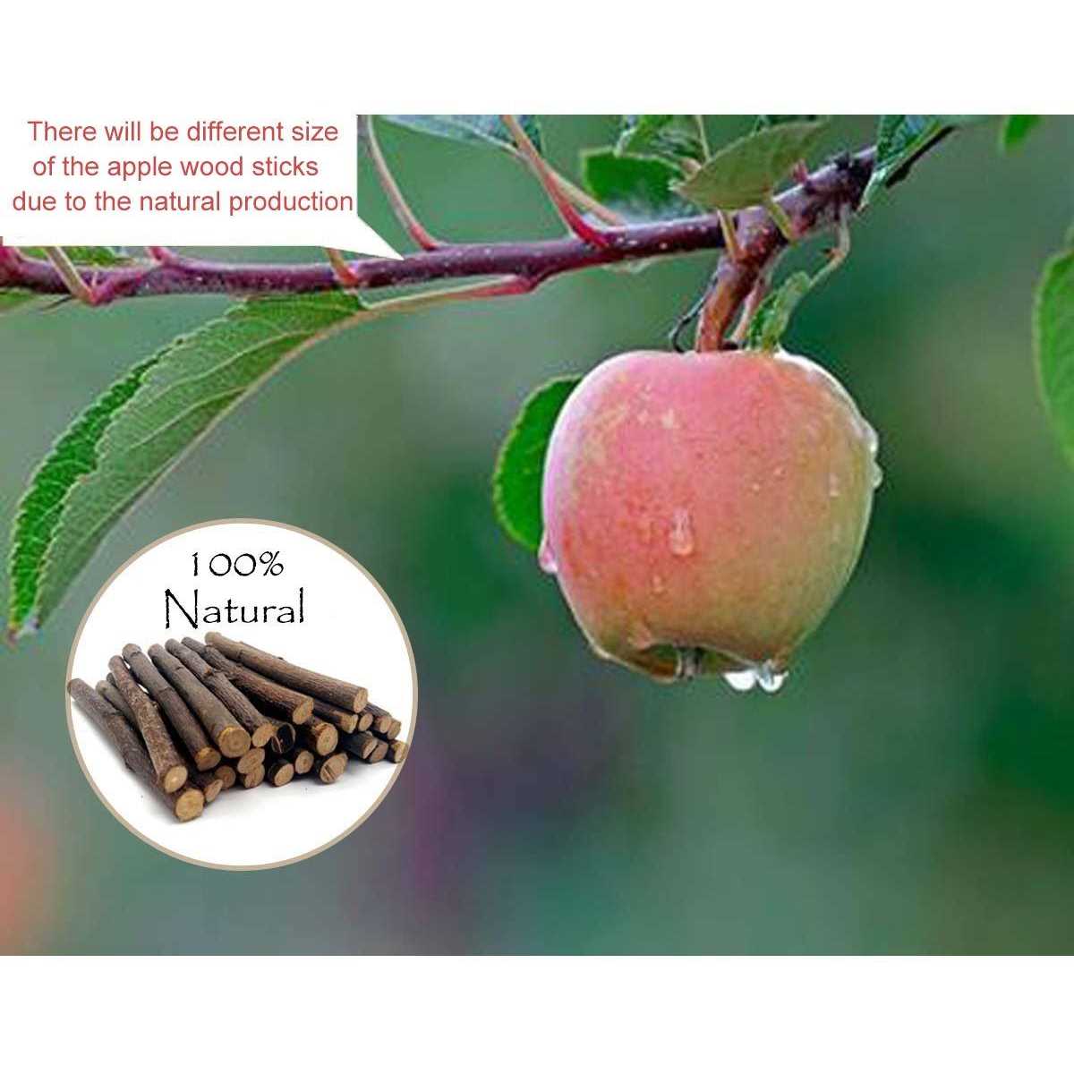 500g Organic Apple Sticks for Rabbits Wood Tree Branches Pet Snacks Chew Toys Branch for Guinea Pigs Chinchilla Squirrel Bunny Hamster Small Animals