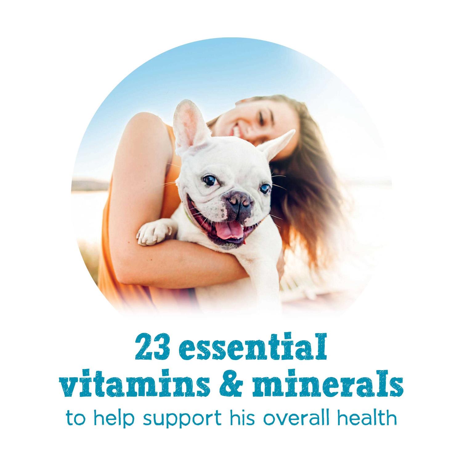 Purina Beneful Small Breed Wet Dog Food