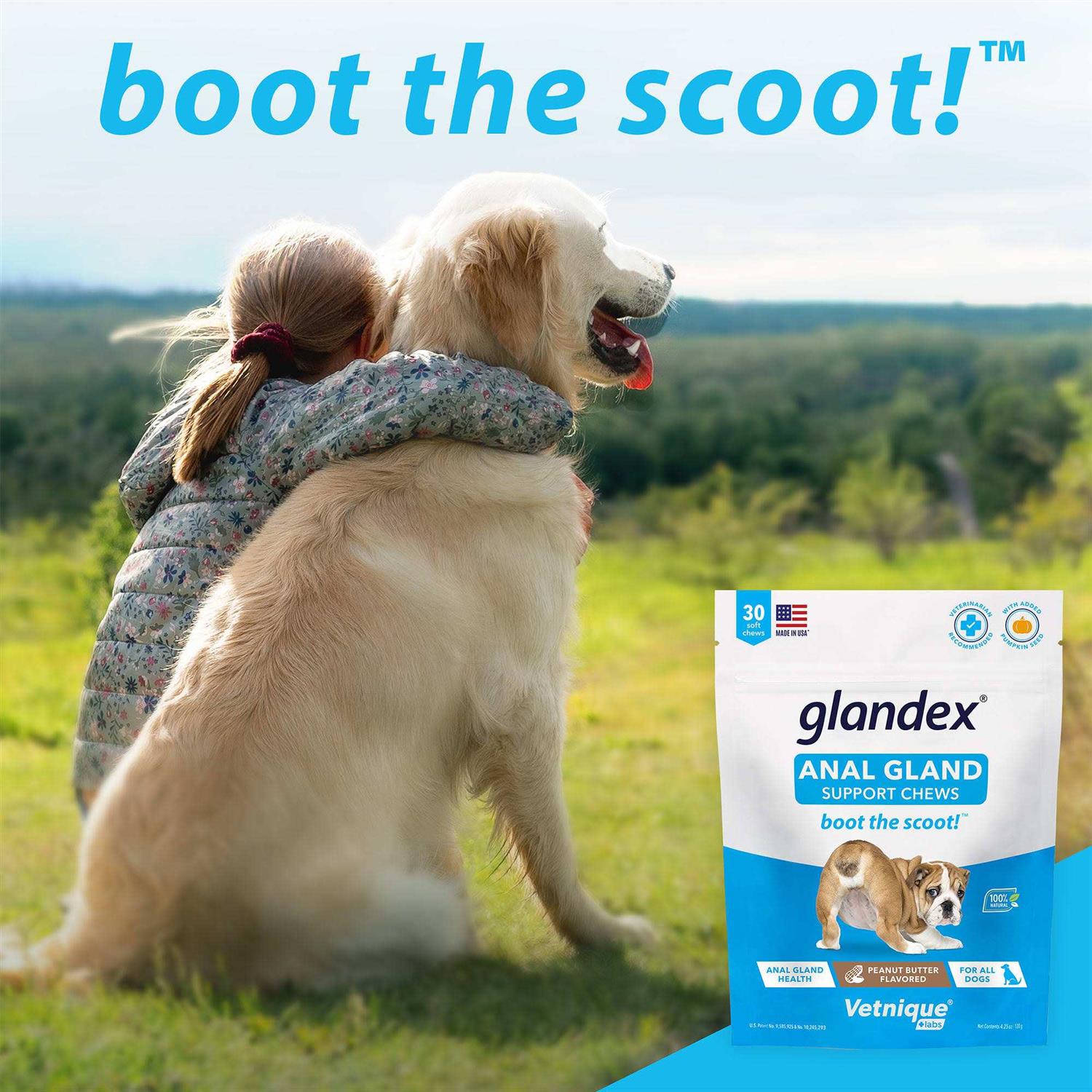 Glandex Anal Gland Soft Chews Supplement for Dogs