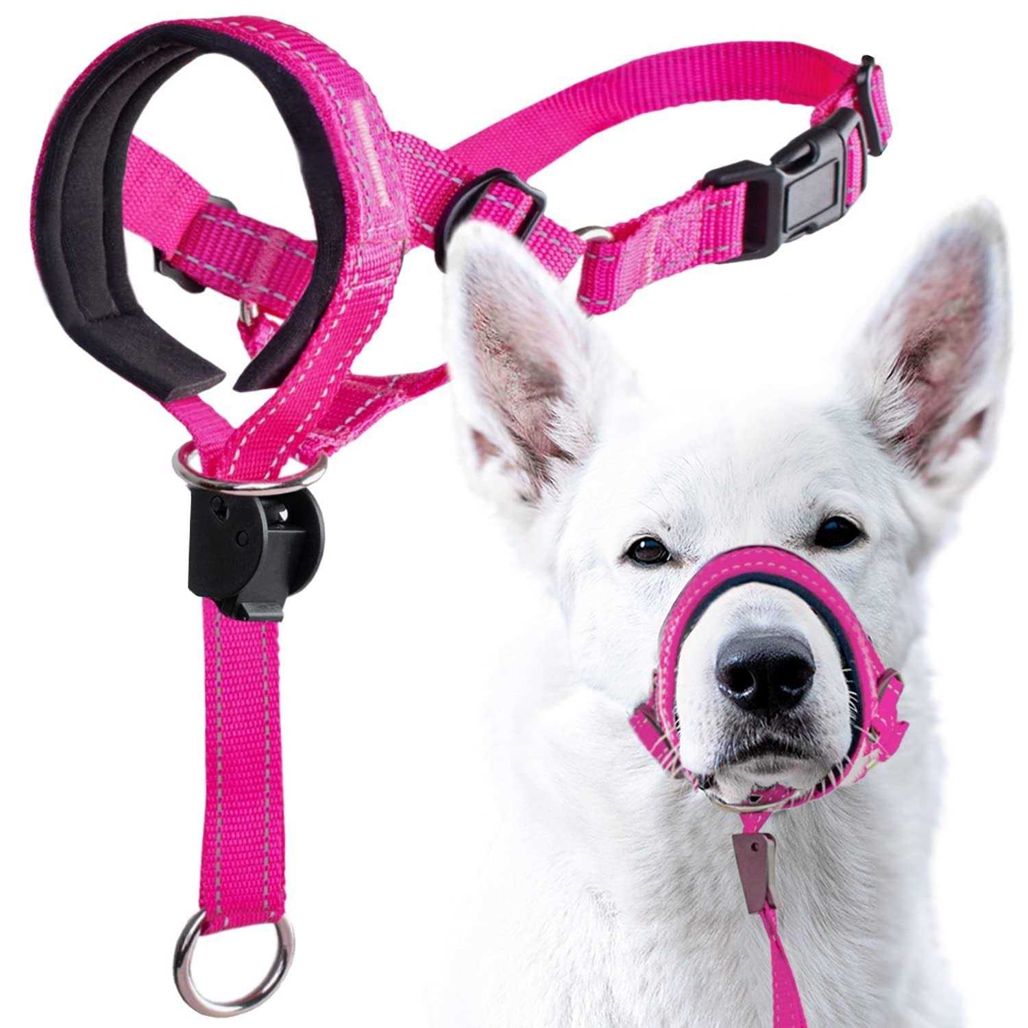 GoodBoy Dog Head Halter with Safety Strap Stops Heavy Pulling On The Leash