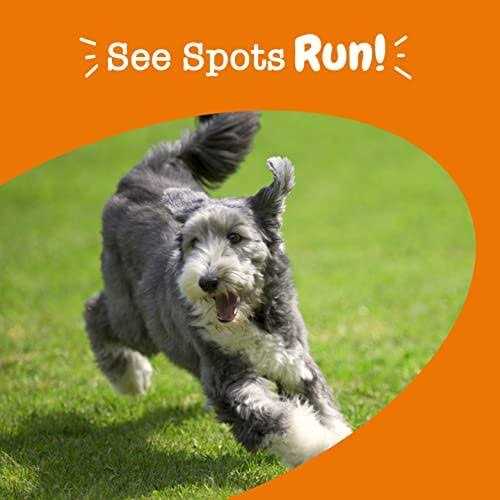 Zesty Paws Stay Green Bites for Dogs