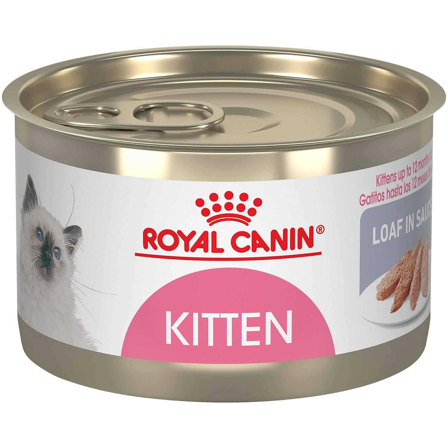 Royal Canin Kitten Loaf in Sauce Cat Food