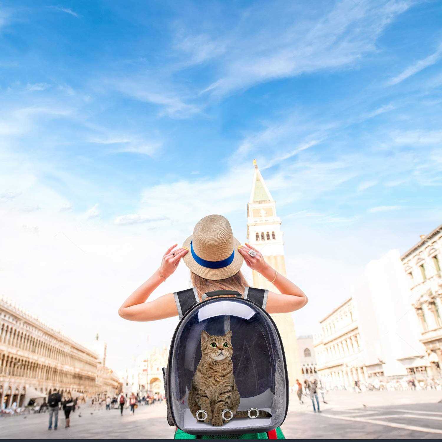 Henkelion Cat Backpack Carrier Bubble Bag Small Dog Backpack Carrier for Small Dogs