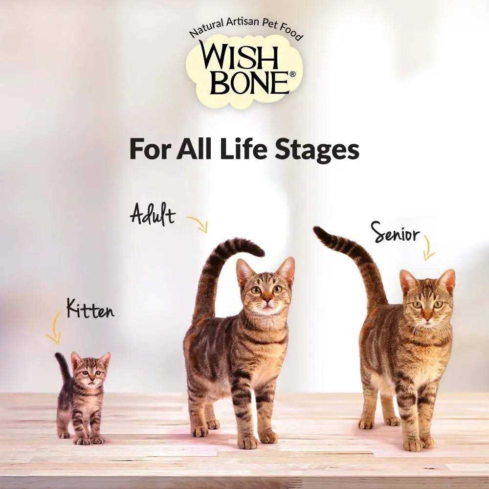 Wishbone Grain Free Pasture Grass-fed New Zealand Lamb Dry Cat Food