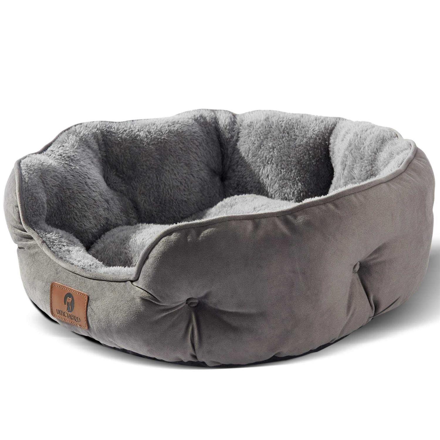 Asvin Small Dog Bed for Small Dogs, Cat Beds for Indoor Cats, Pet Bed for Puppy and Kitty