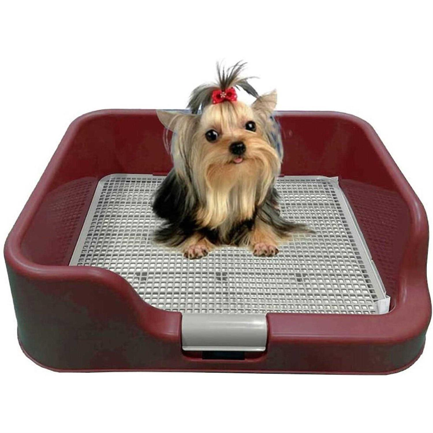 PS KOREA Indoor Dog Potty Tray with Protection Wall Every Side for No Leak, Spill, Accident