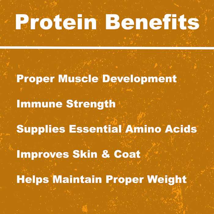 Whole Life Pet Just One Ingredient Freeze-Dried Chicken Dog Treats