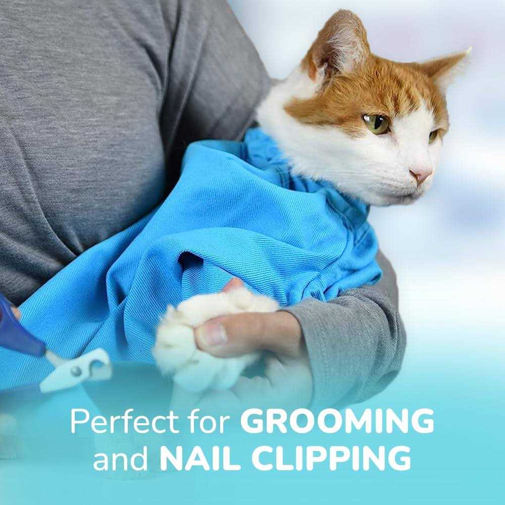 Cat-in-the-Bag Cozy Comfort Carrier