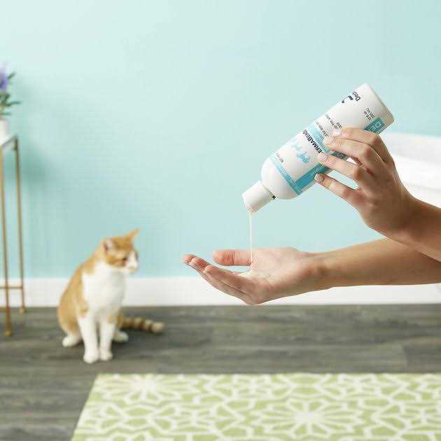 DermaBenSs Shampoo 12oz