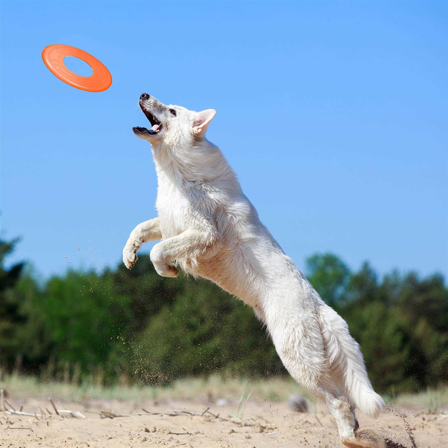 Nerf Atomic Flyer Dog Toy