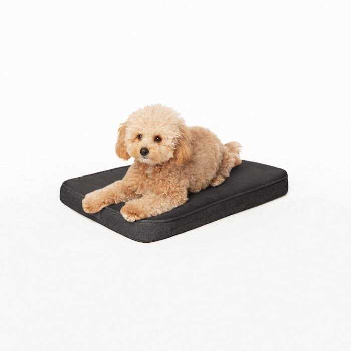 Snooz Memory Foam Crate Pad & Dog Bed Diggs