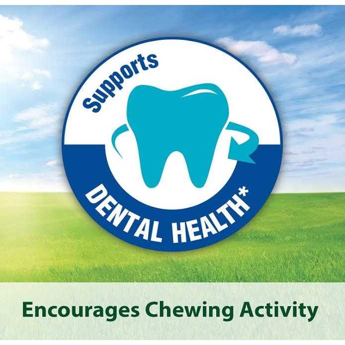 Kaytee Forti-Diet Pro Health Mouse & Rat Food