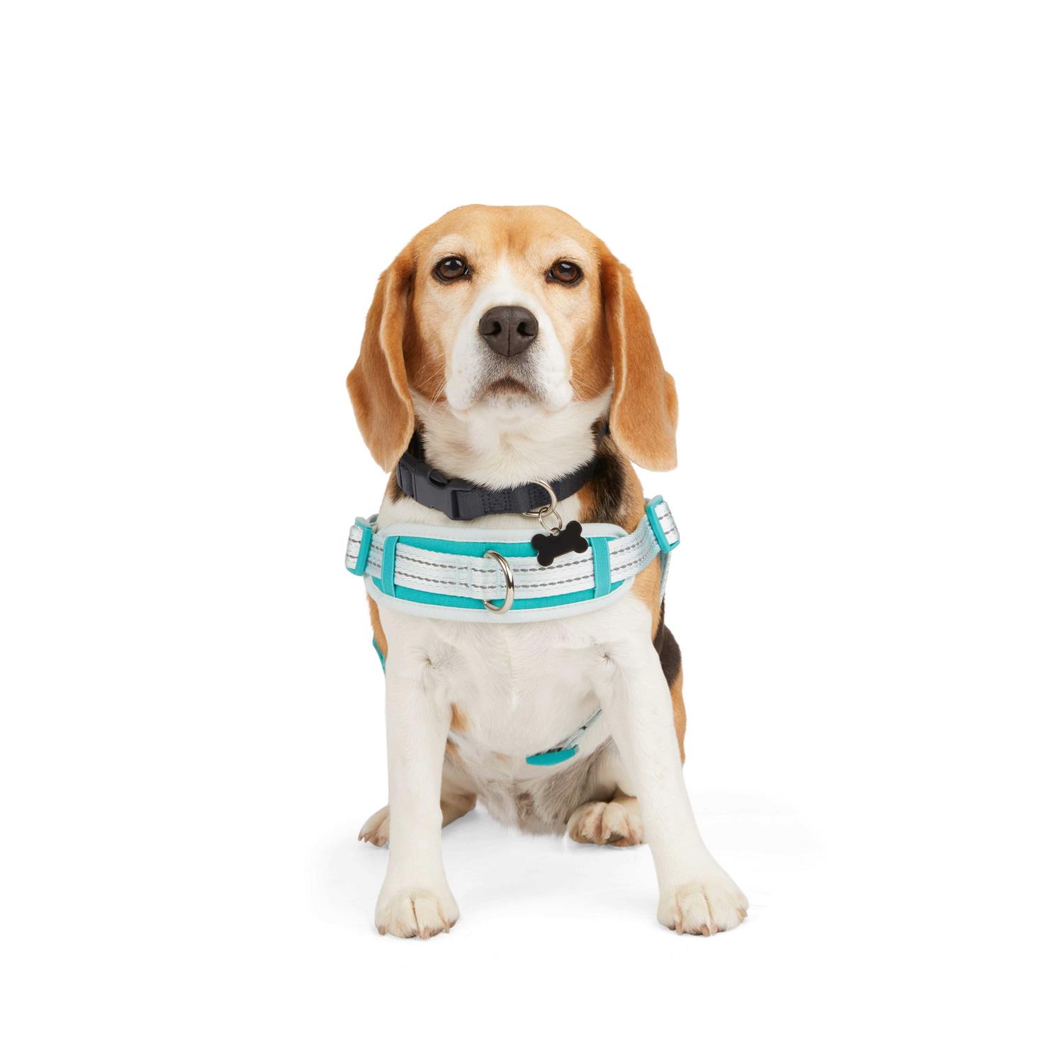 EveryYay Easy On Training Dog Harness