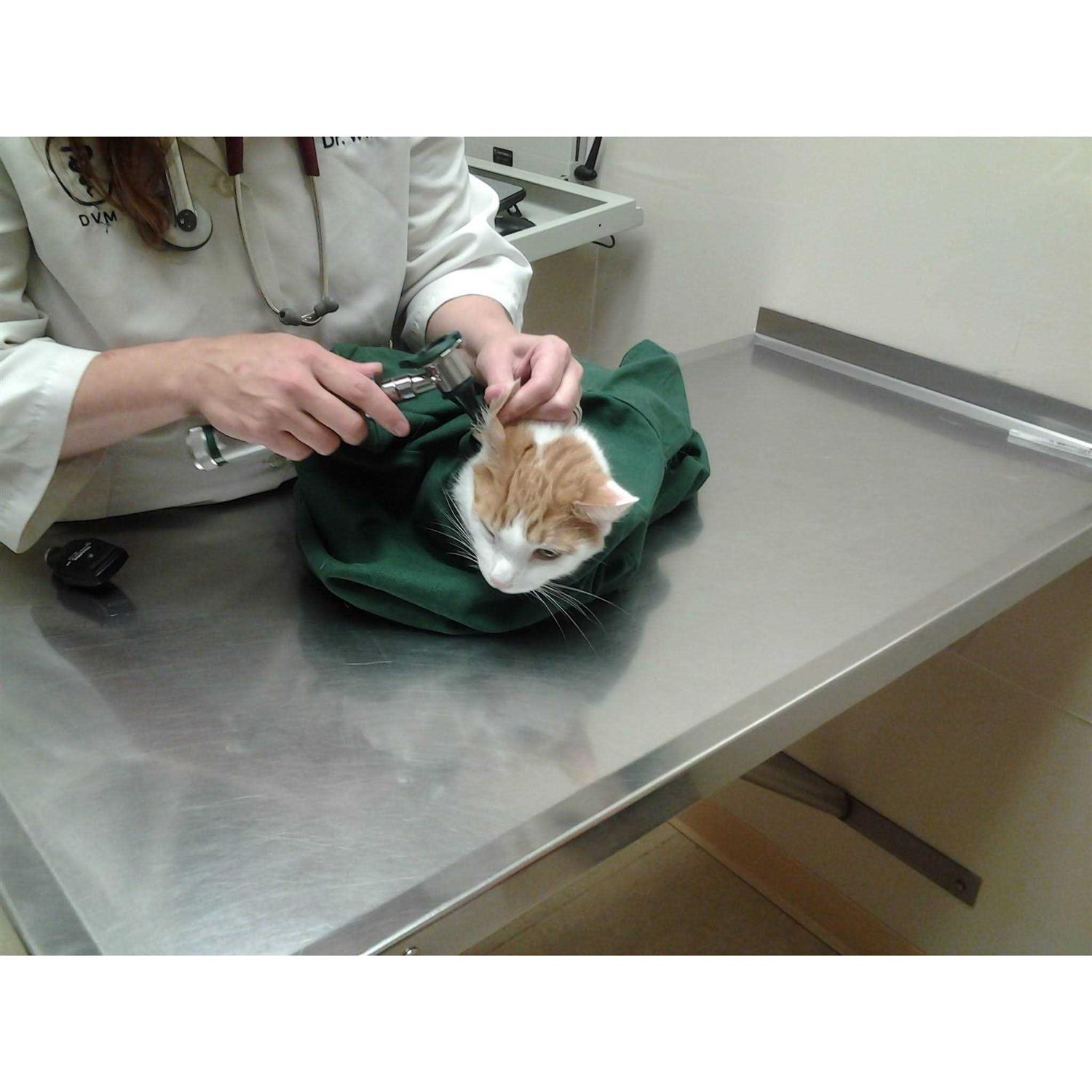 Cat-in-the-Bag Cozy Comfort Carrier