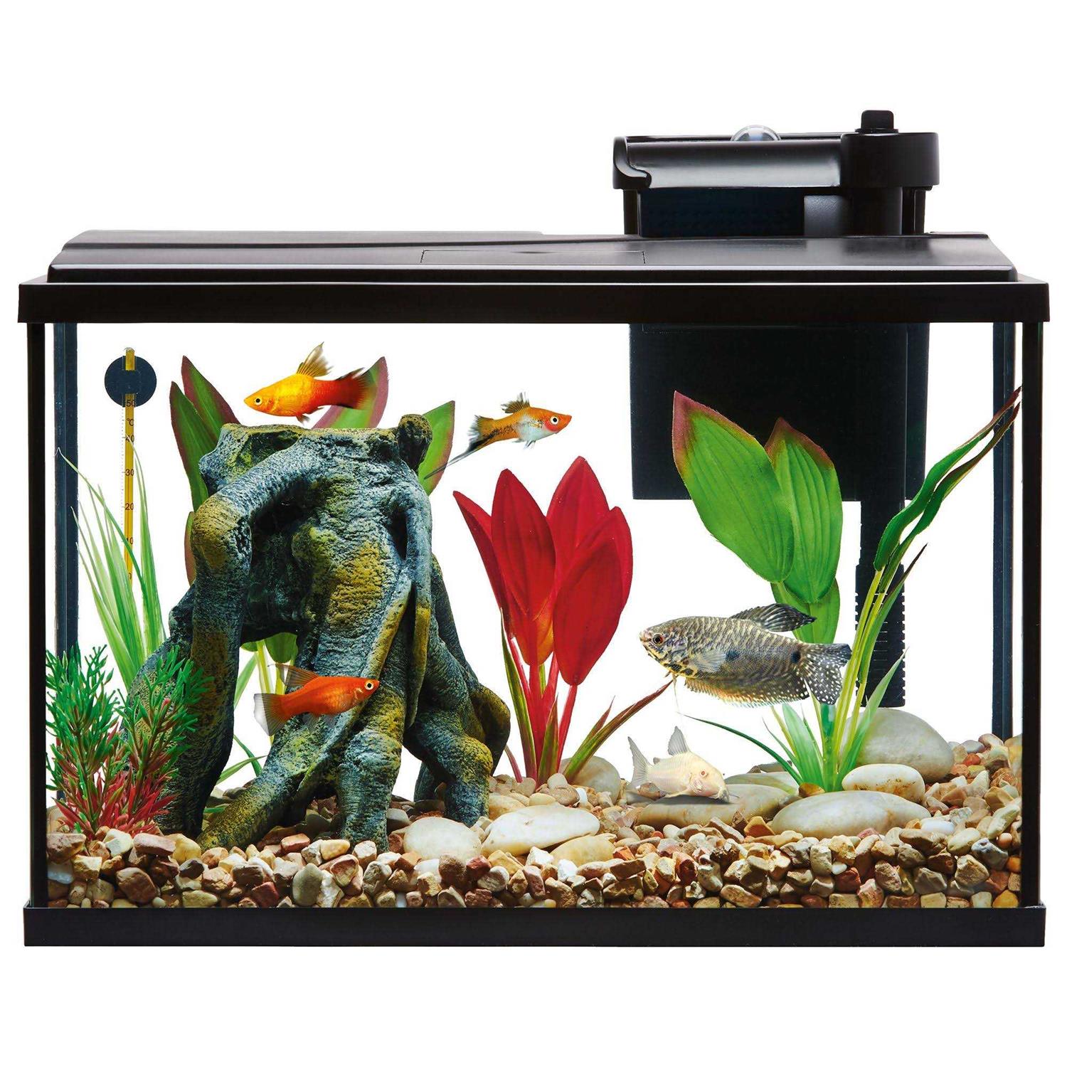 Top Fin Essentials Aquarium Tank Starter Kit