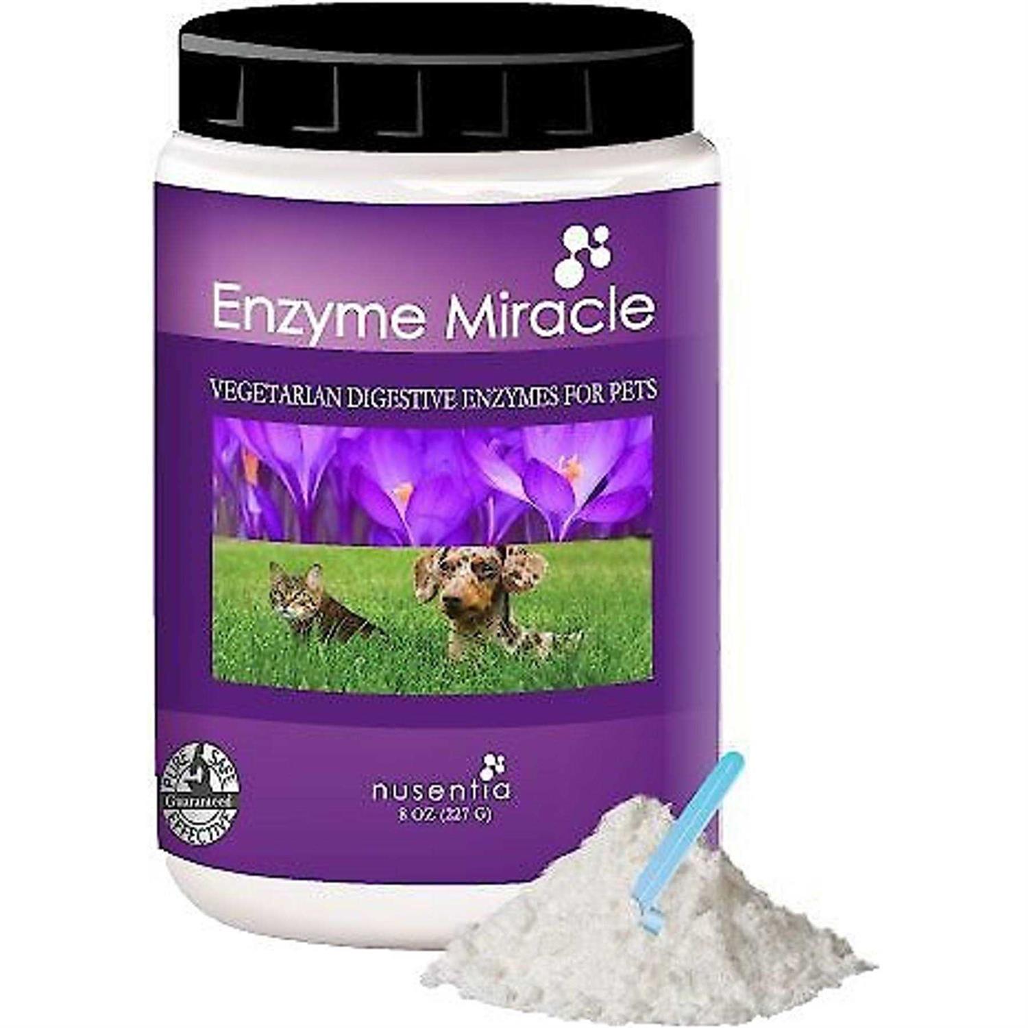 Enzyme Miracle Digestive