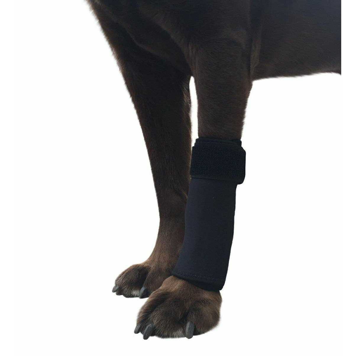 Labra Co. Dog Canine Front Leg Compression Brace Wrap Sleeve Protects Wounds Brace Heals and Prevents Injuries and Sprains Helps with Loss of