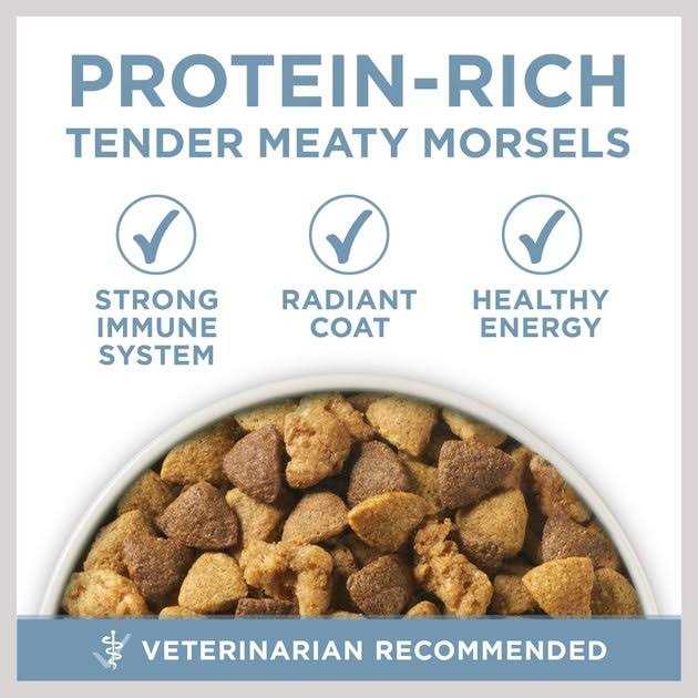 Purina ONE Joint Health Dry Dog Food