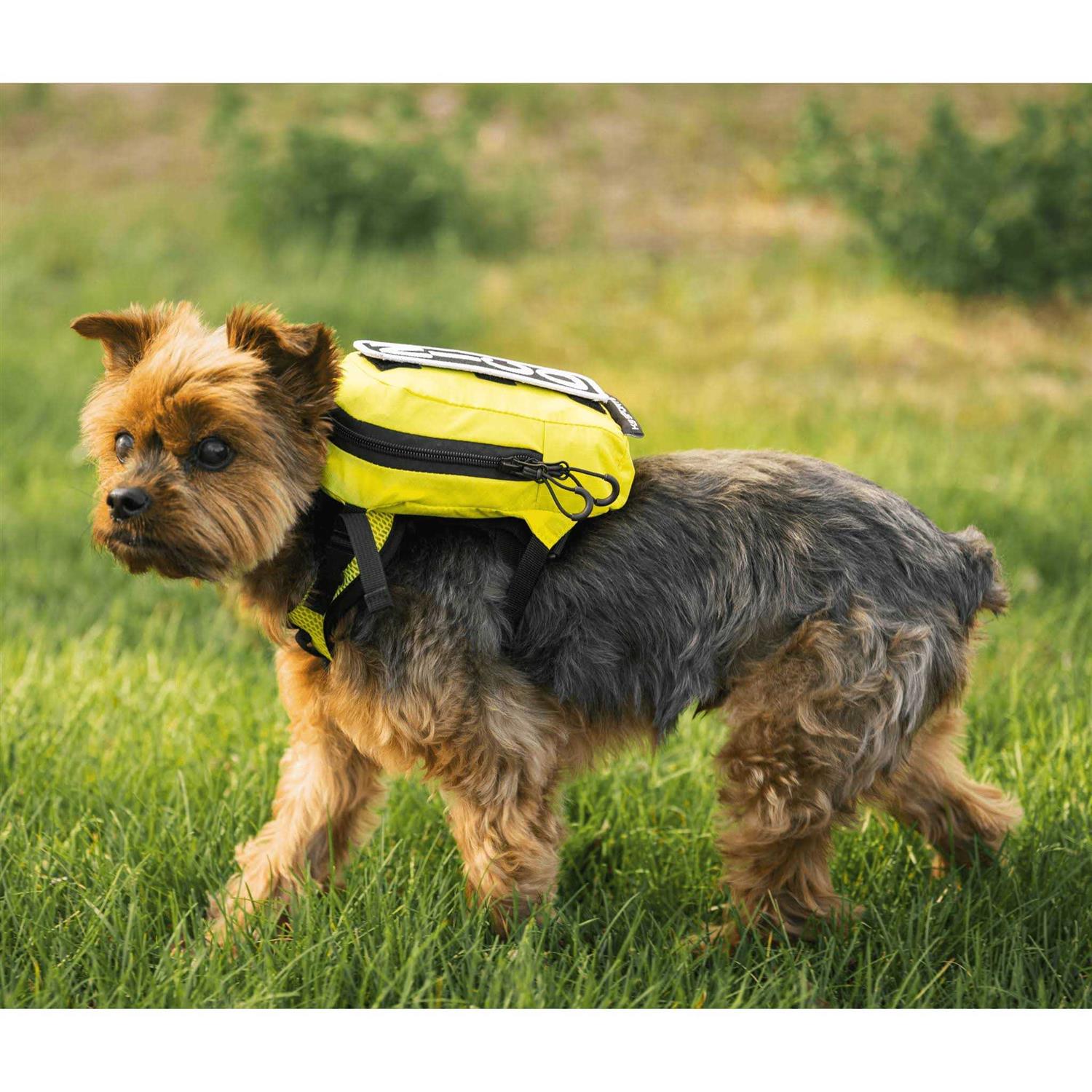 K9 Sport Sack Walk On with Harness & Storage