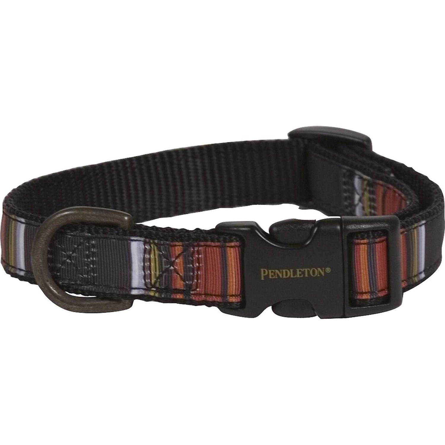 Pendleton Dog Collar National Park Hiker