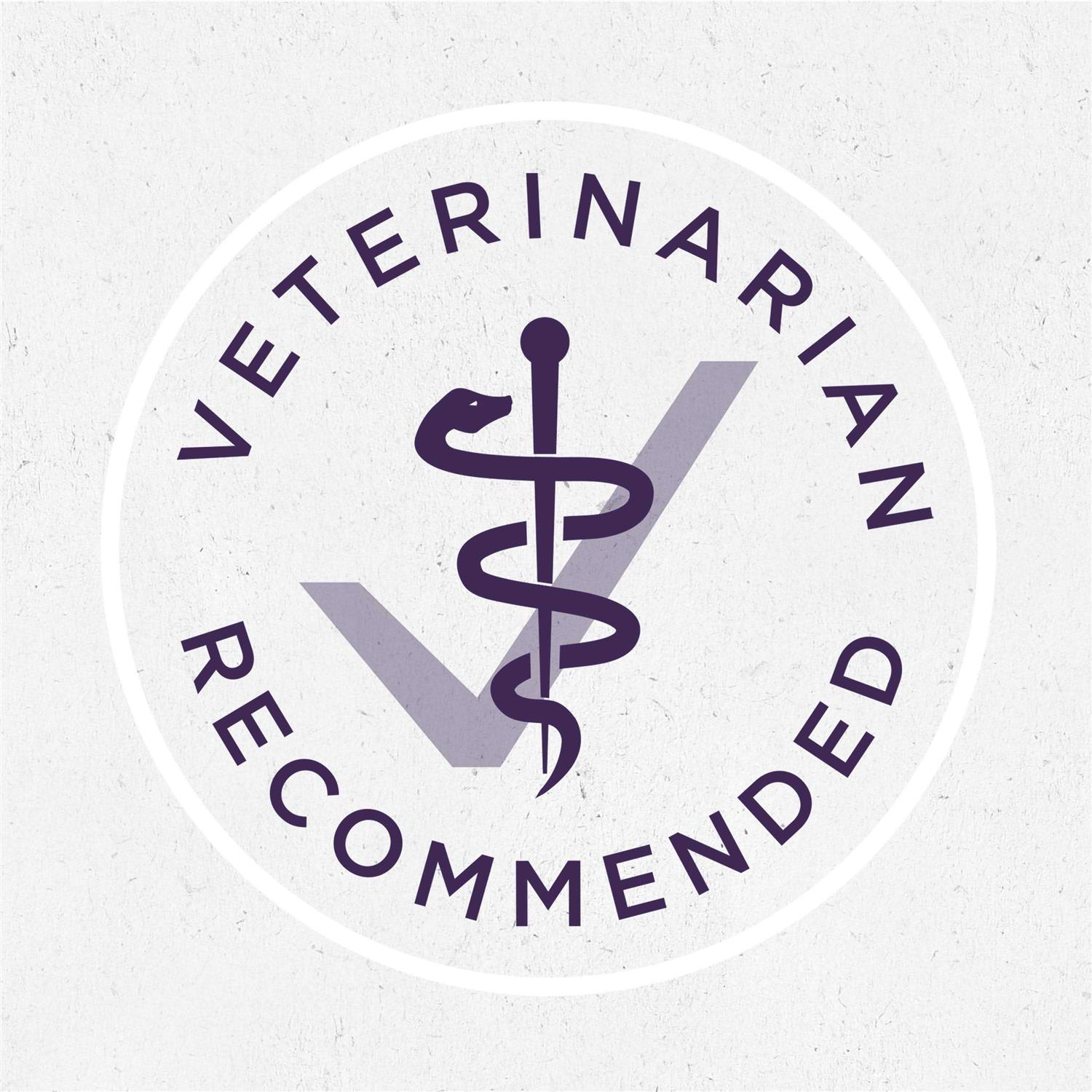 Purina ONE Classic Ground Chicken & Brown Rice Adult Wet Dog Food