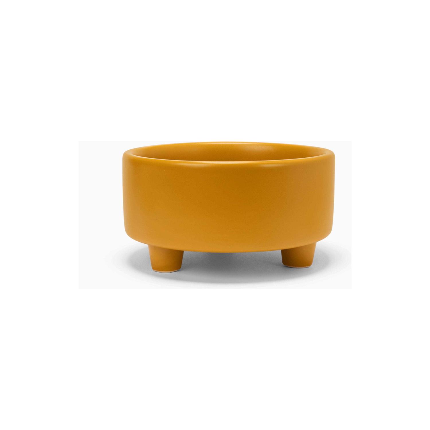 Waggo Uplift Ceramic Dog Bowl