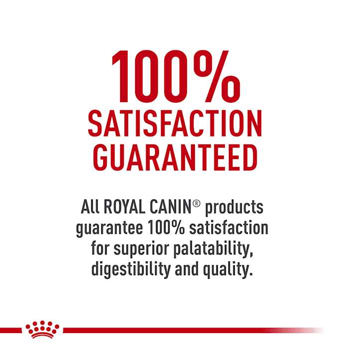 Royal Canin Breed Health Nutrition German Shepherd Adult Loaf in Sauce Canned Dog Food