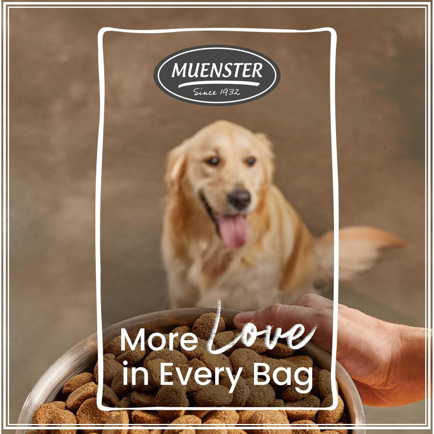 Muenster Ancient Grains with Chicken Dog Food