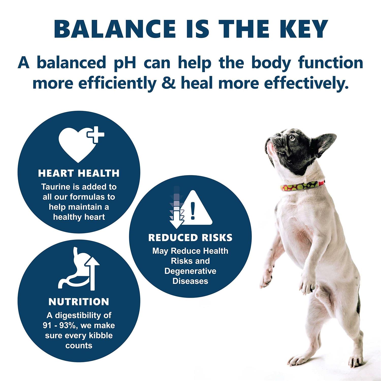 Canine Caviar Open Meadow Holistic Entree Dry Dog Food